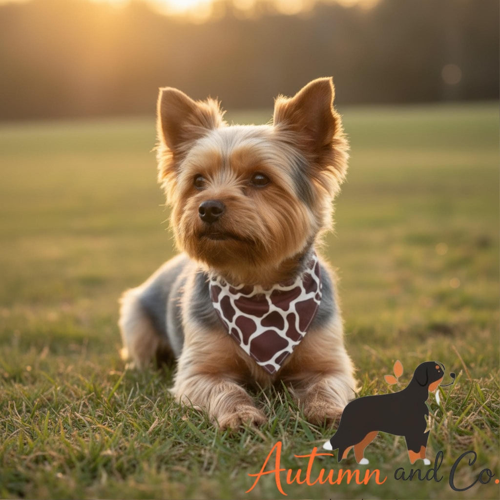 Safari Chic  Dog Bandana Pattern, Over The Collar Reversible Polyester